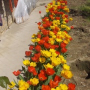 11_Castagnoli (19)